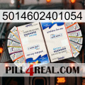 5014602401054 kamagra1